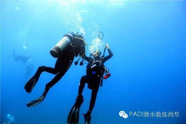 粉笔app官网下载游戏画面